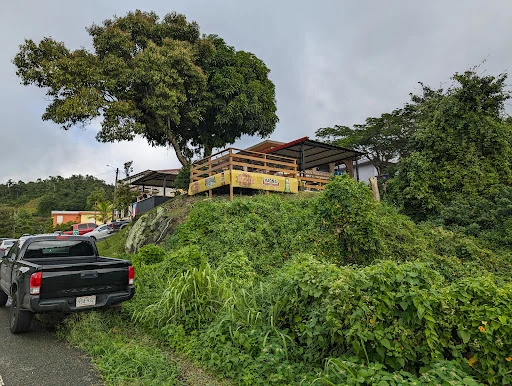 El Kiosko del Sabor de Cayey photo 7